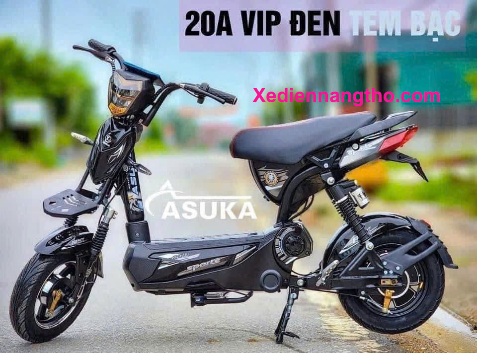 xe đạp điện asuka m133 VIP
