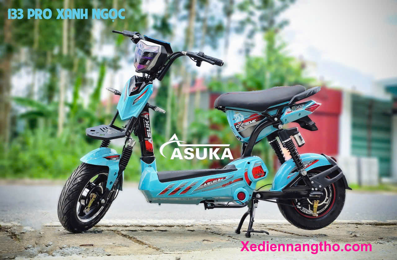xe đạp điện asuka m133 VIP