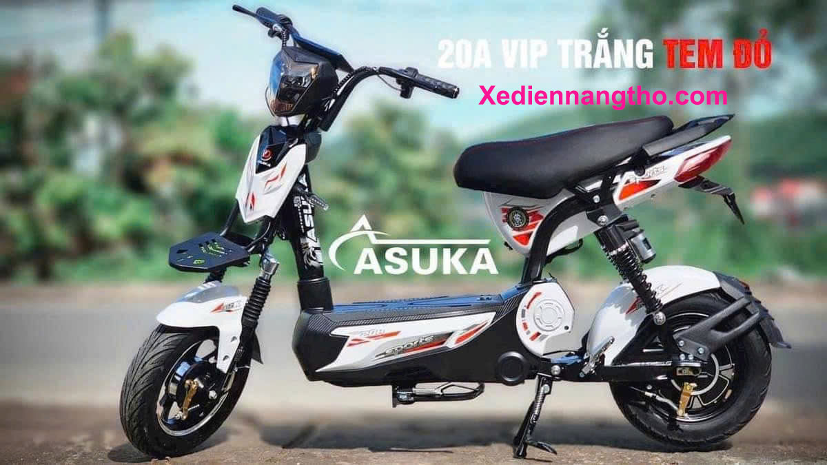 xe đạp điện asuka m133 VIP