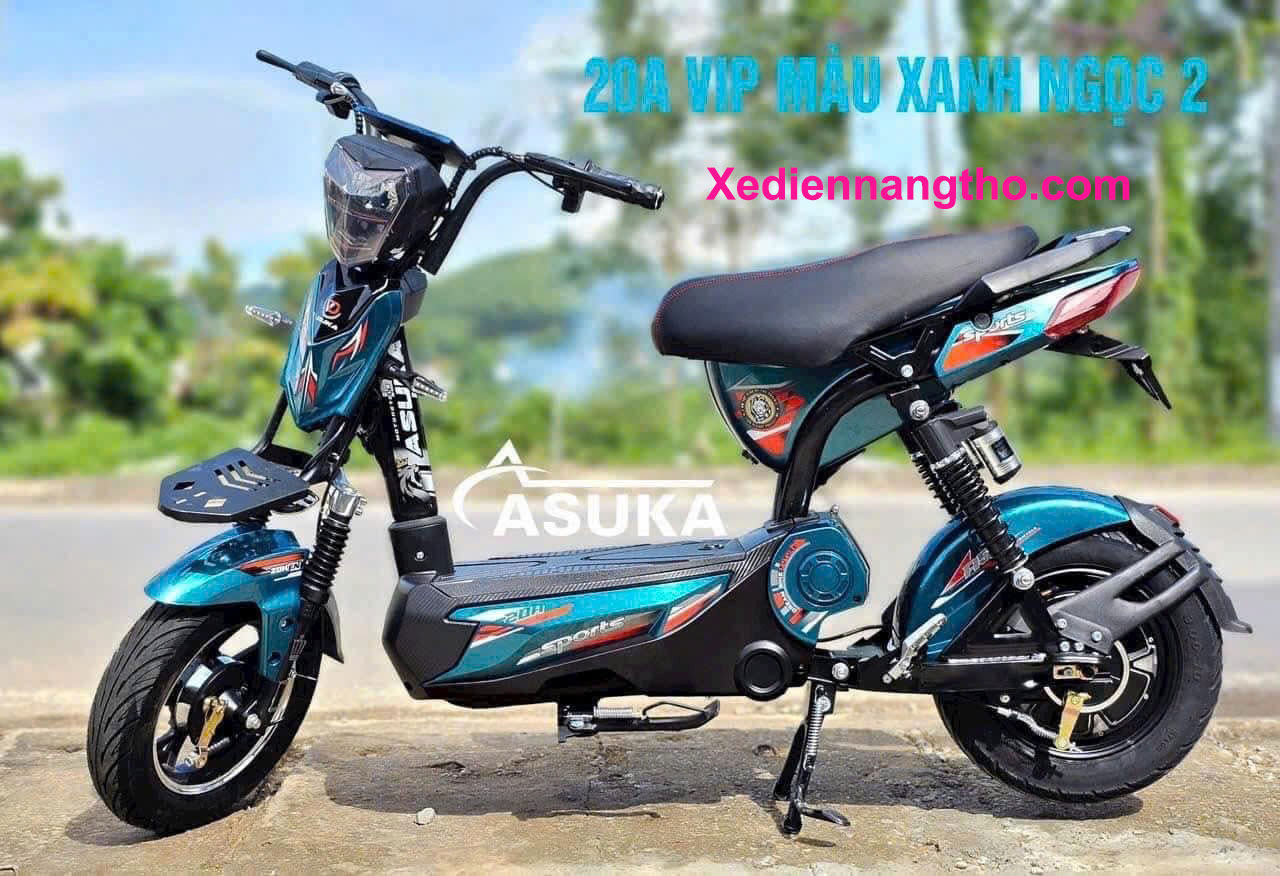 xe đạp điện asuka m133 VIP