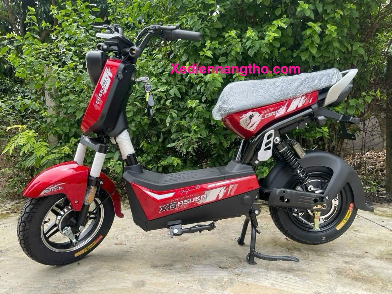xe đạp điện asuka xbull
