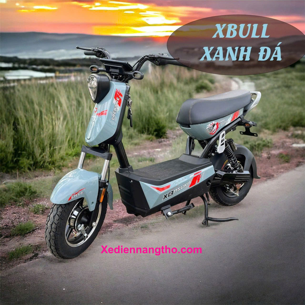 xe đạp điện asuka xbull
