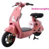 xe đạp điện lihaze v1 plus