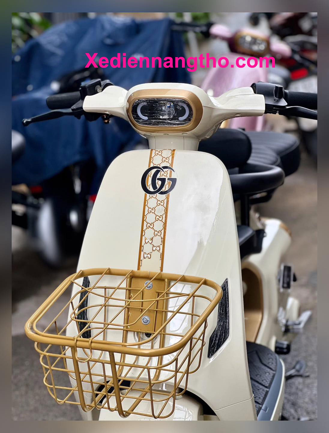 Xe đạp điện Lihaze V1 Plus Decor Gucci