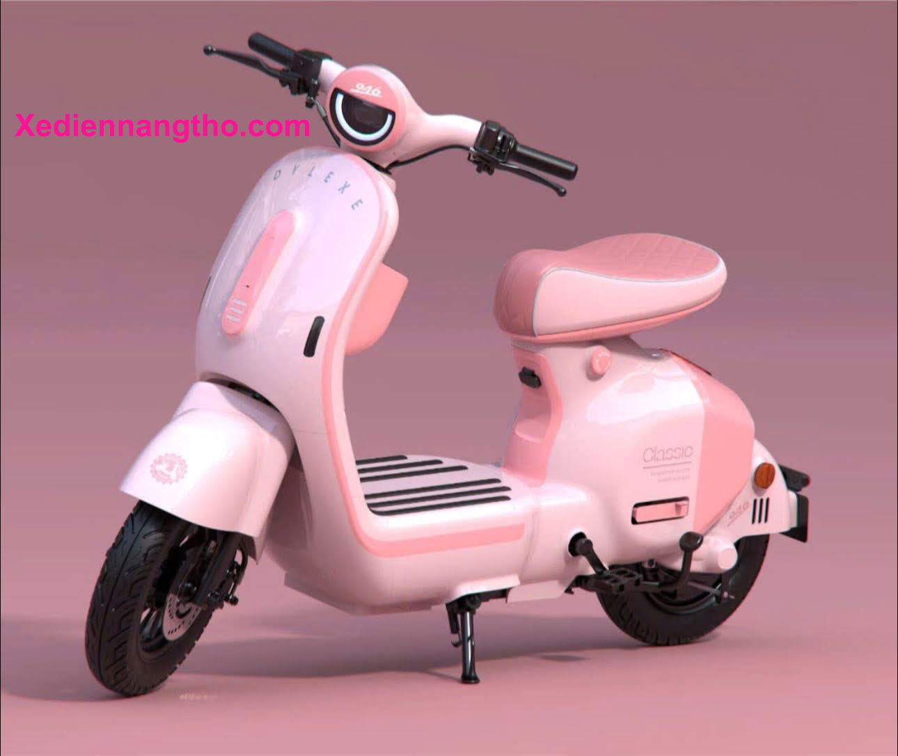 xe đạp điện x1 dylexe