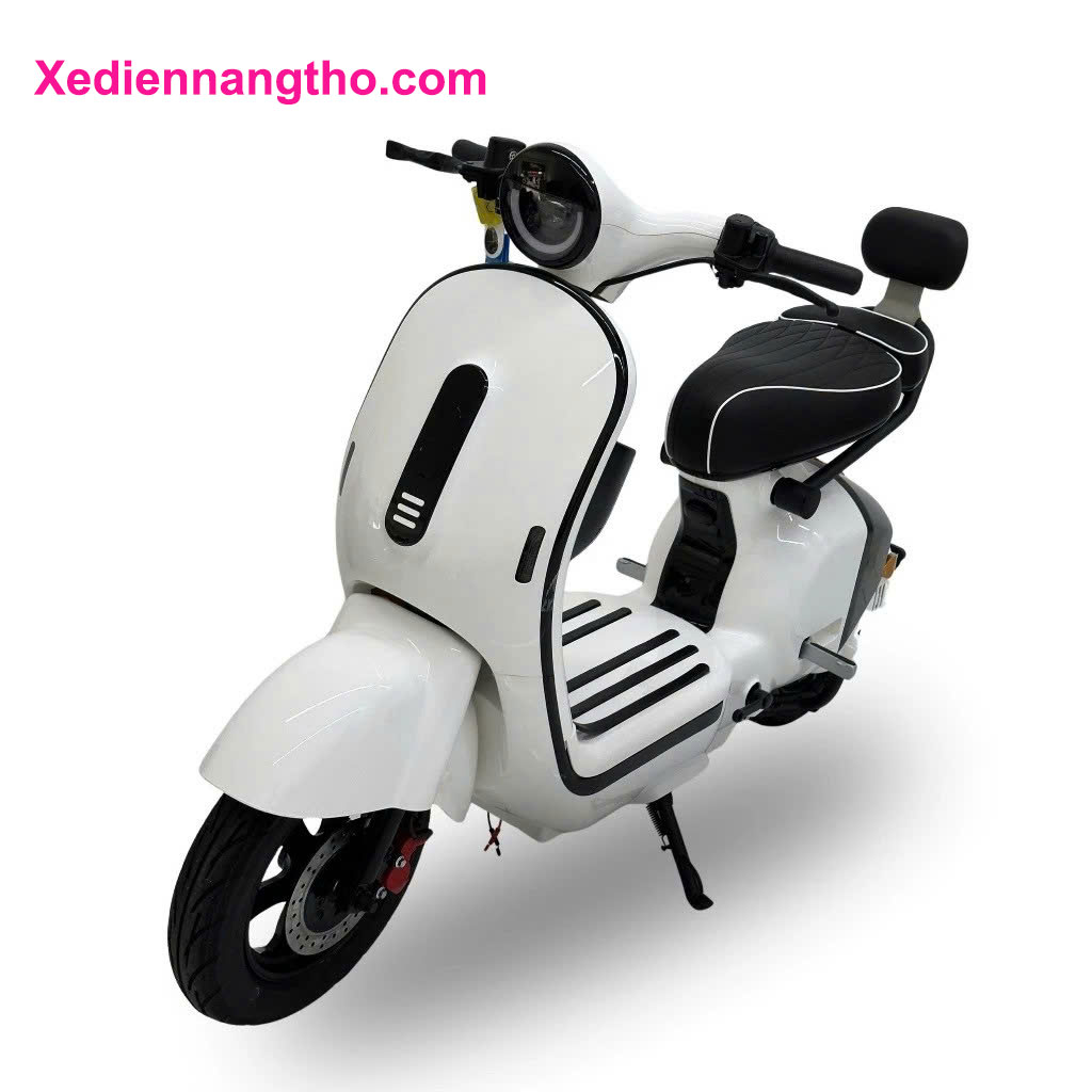 xe đạp điện x1 dylexe