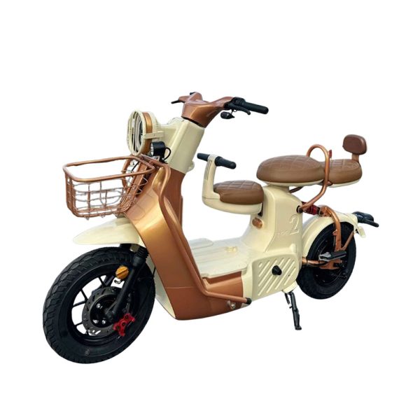 xe đạp điện discoery type 3