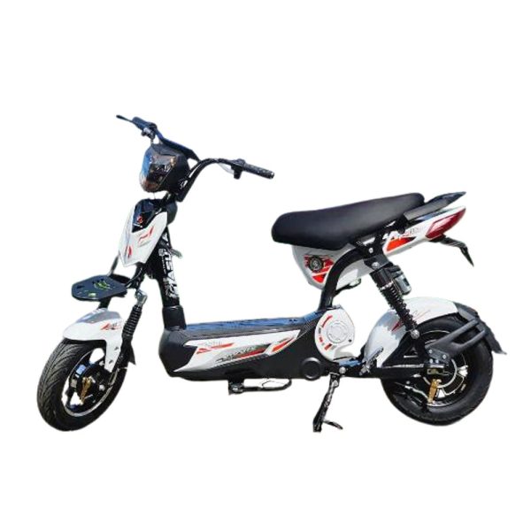 xe đạp điện asuka m133 vip