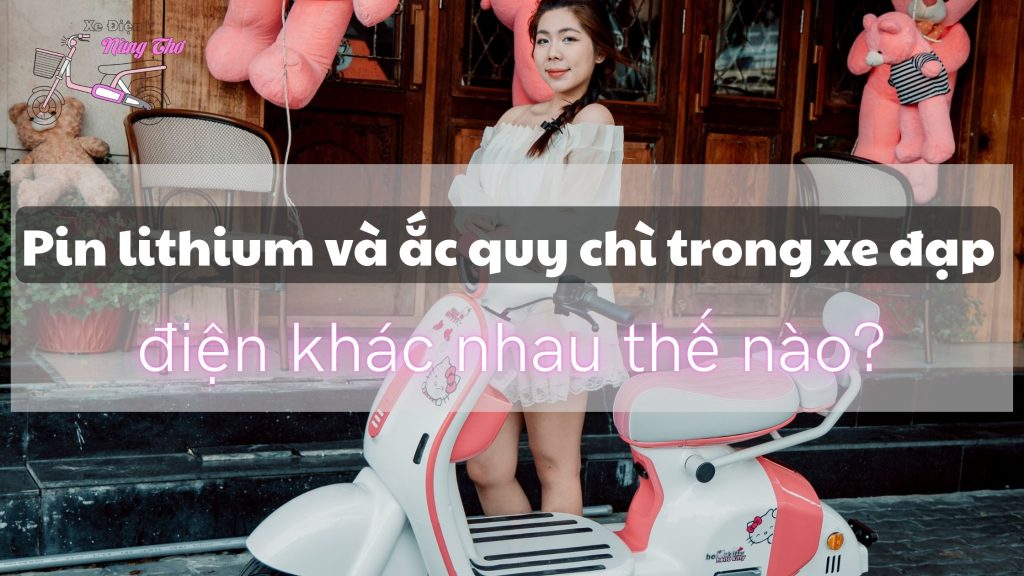 13-pin-lithium-va-ac-quy-chi-trong-xe-dap-dien-khac-nhau-the-nao-xe-dien-nang-tho