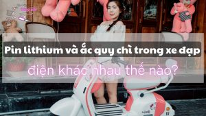 13-pin-lithium-va-ac-quy-chi-trong-xe-dap-dien-khac-nhau-the-nao-xe-dien-nang-tho