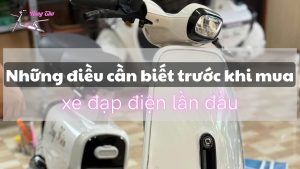 5-nhung-dieu-can-biet-truoc-khi-mua-xe-dap-dien-lan-dau-xe-dien-nang-tho