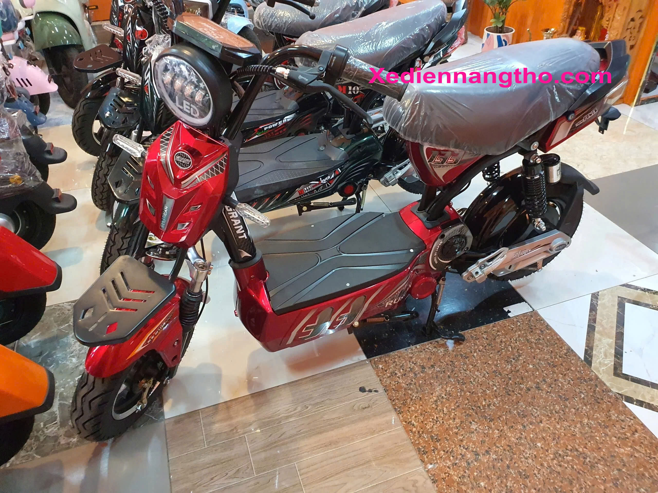 xe đạp điện ebike m133