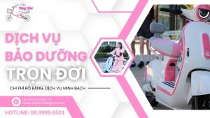 dich-vu-bao-duong-tron-doi-xe-dien-nang-tho