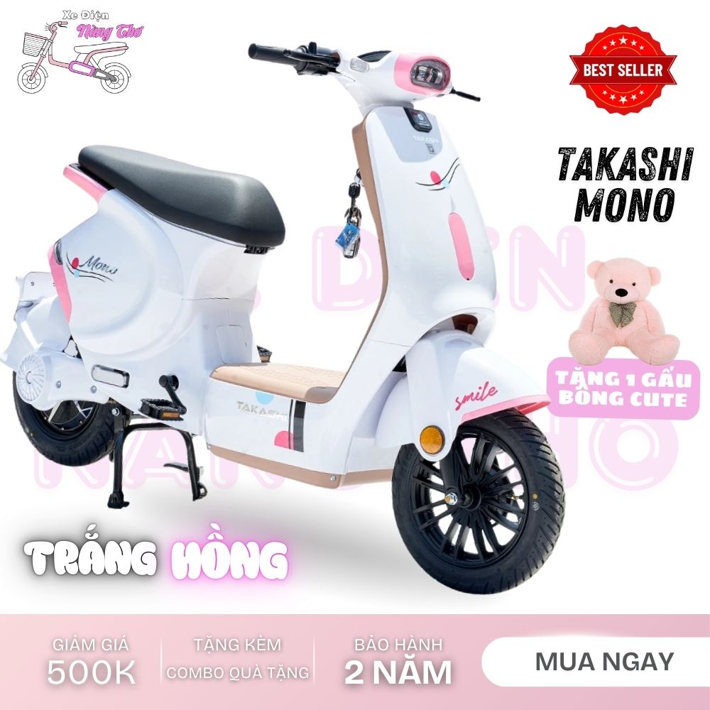 xe đạp điện takashi mono
