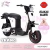 xe đạp điện Osakar Mandi