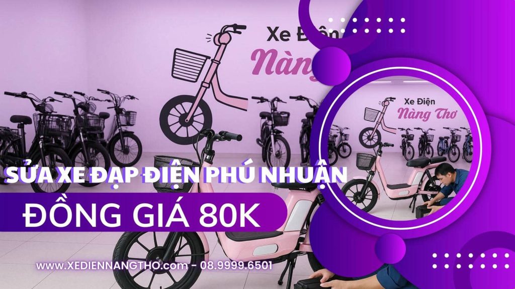 sua-xe-dap-dien-quan-phu-nhuan-xe-dien-nang-tho