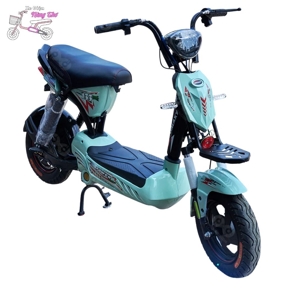 xe đạp điện ebike m133