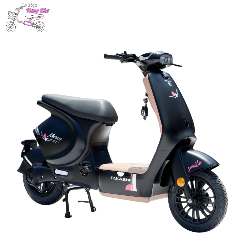 xe đạp điện takashi mono