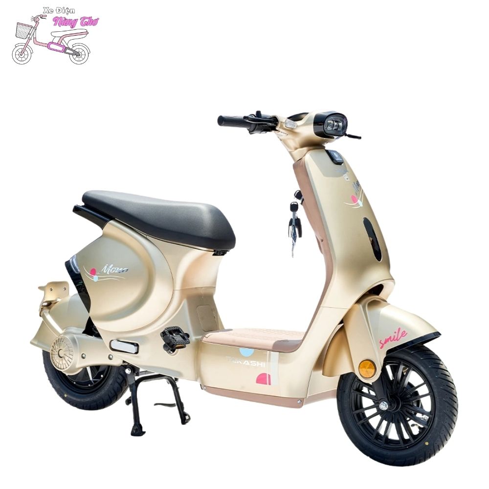 xe đạp điện takashi mono
