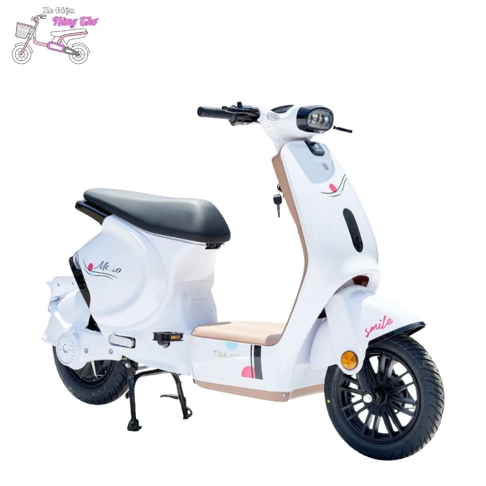 xe đạp điện takashi mono
