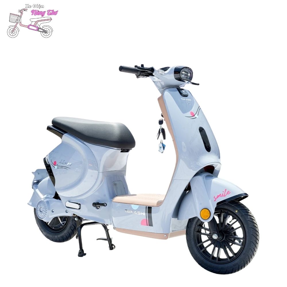 xe đạp điện takashi mono