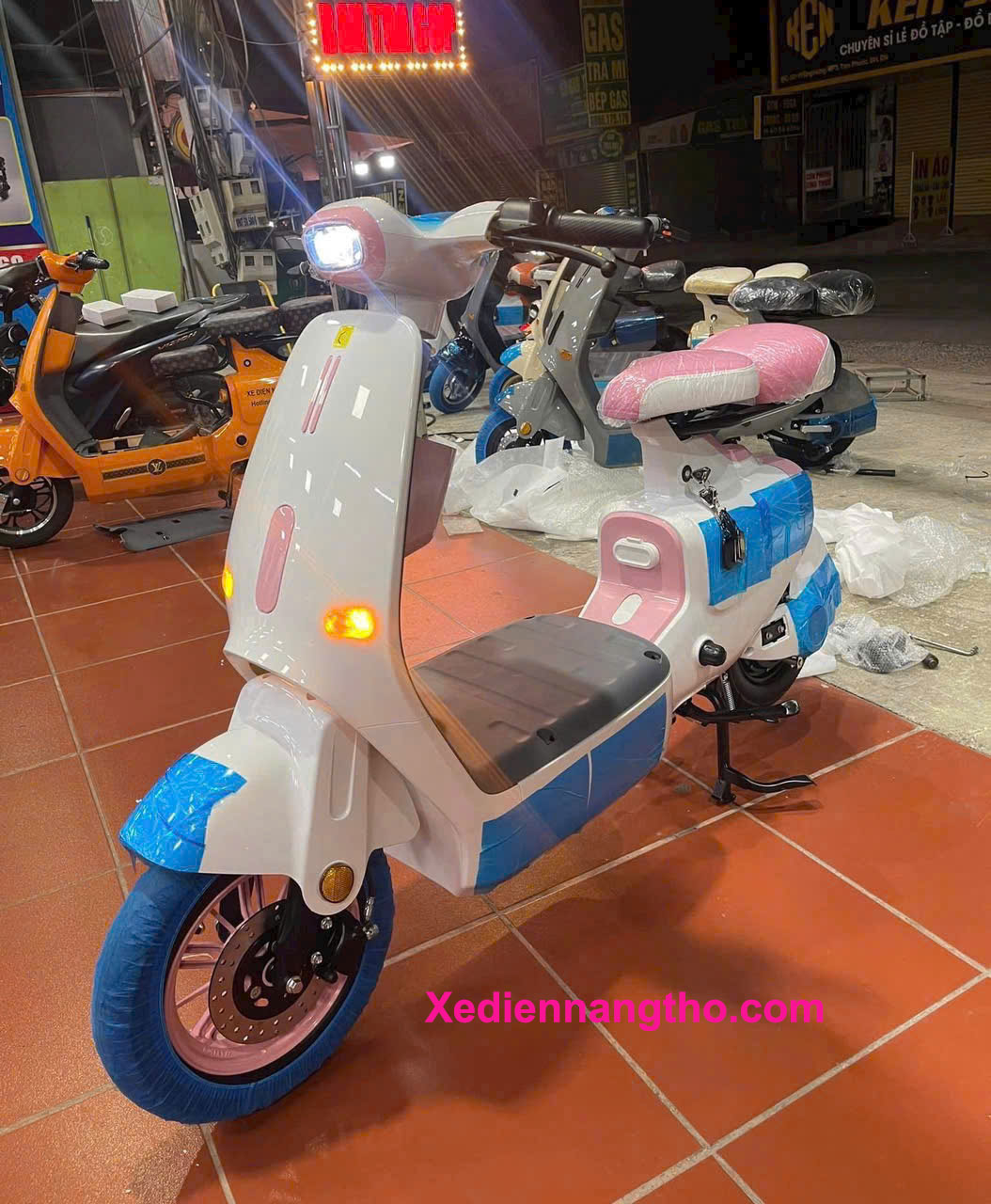 xe đạp điện dylexe