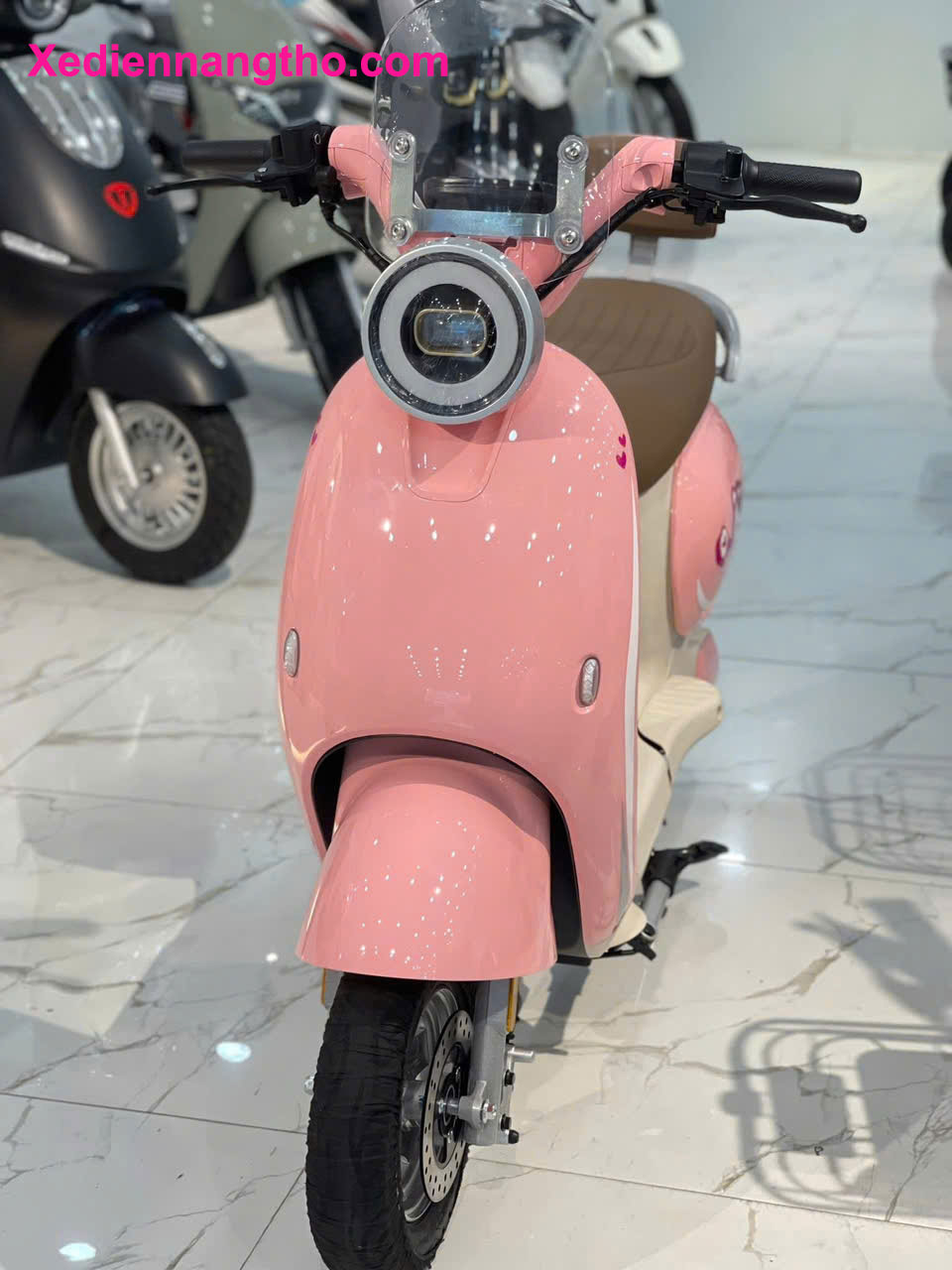 xe đạp điện dylexe