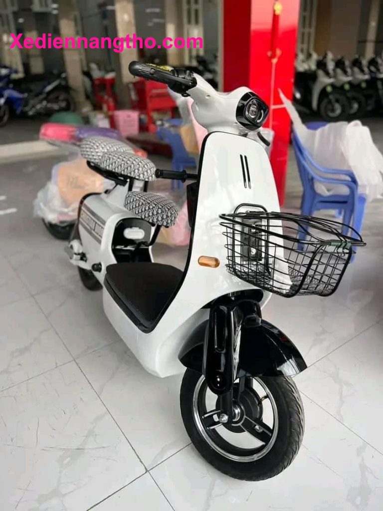 sửa xe đạp điện bình chánh