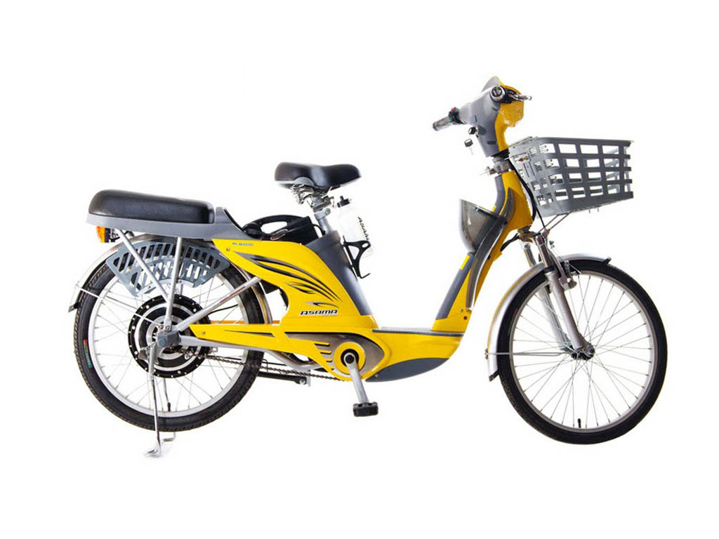xe đạp điện