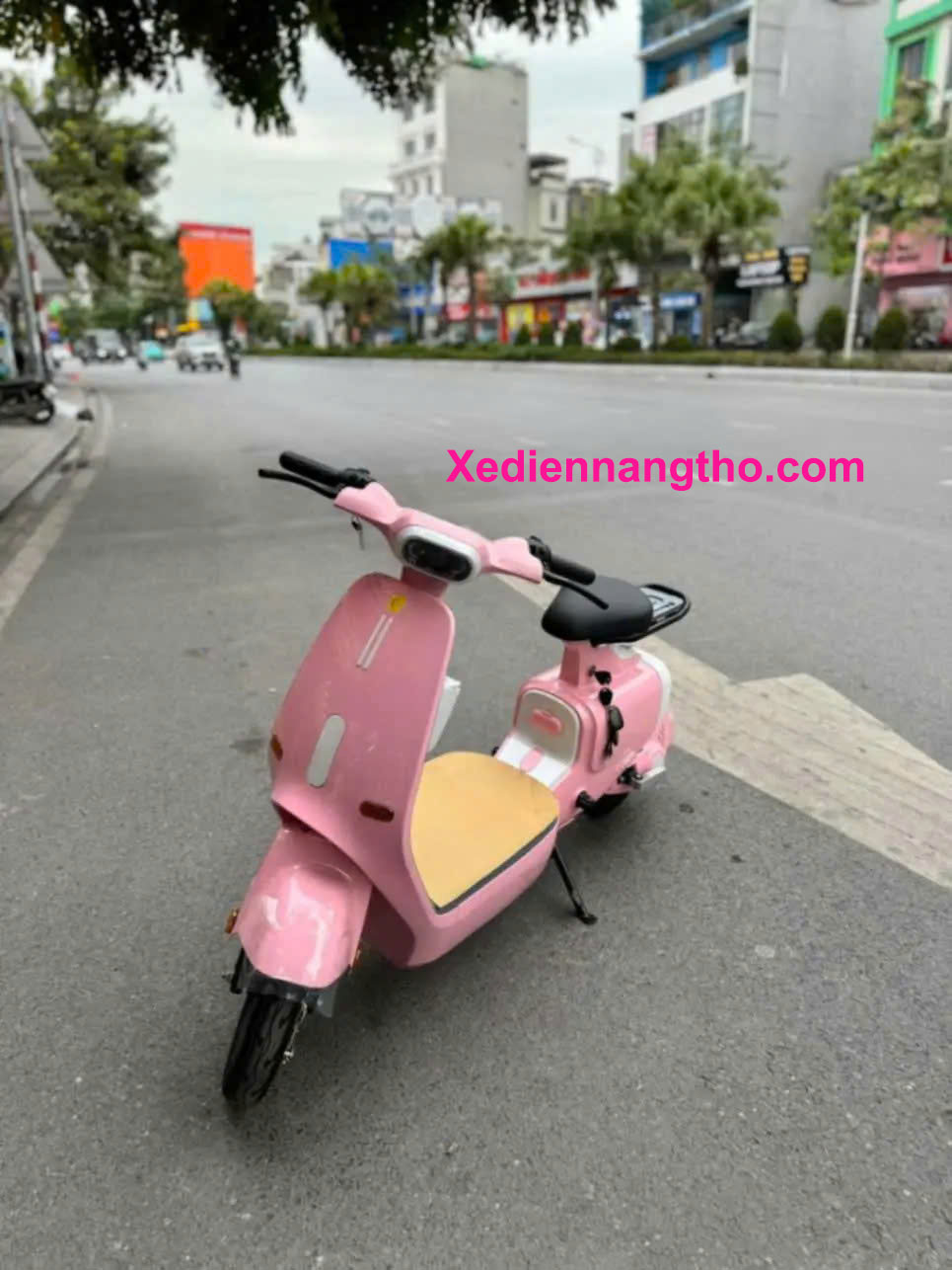 xe đạp điện k1 dylexe pro
