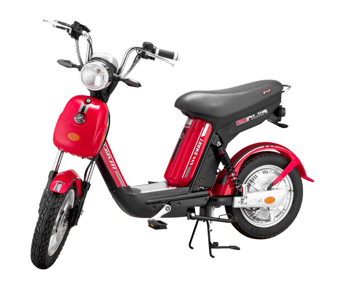 Xe đạp điện Nijia