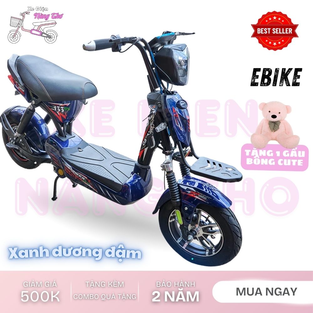 xe đạp điện