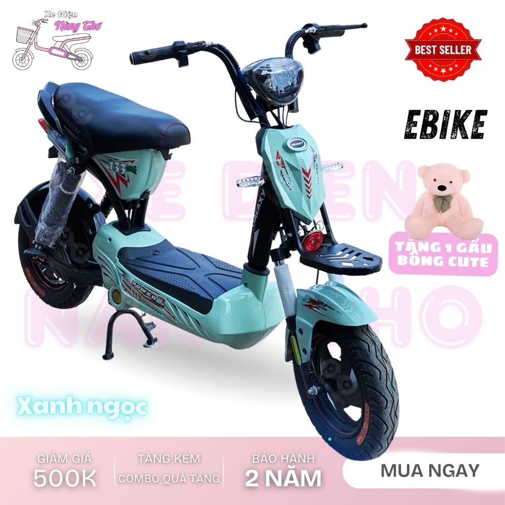 xe đạp điện thời trang