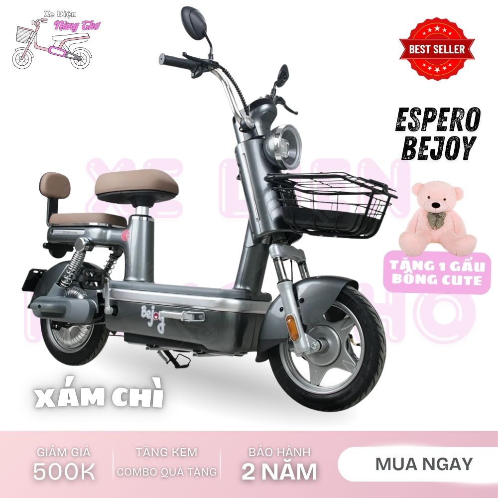 xe đạp điện