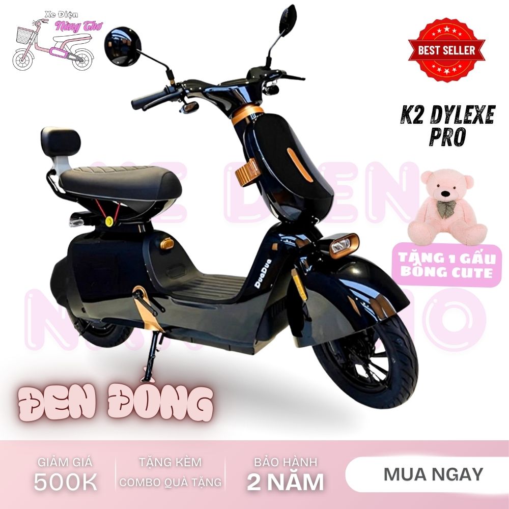 xe đạp điện dylexe