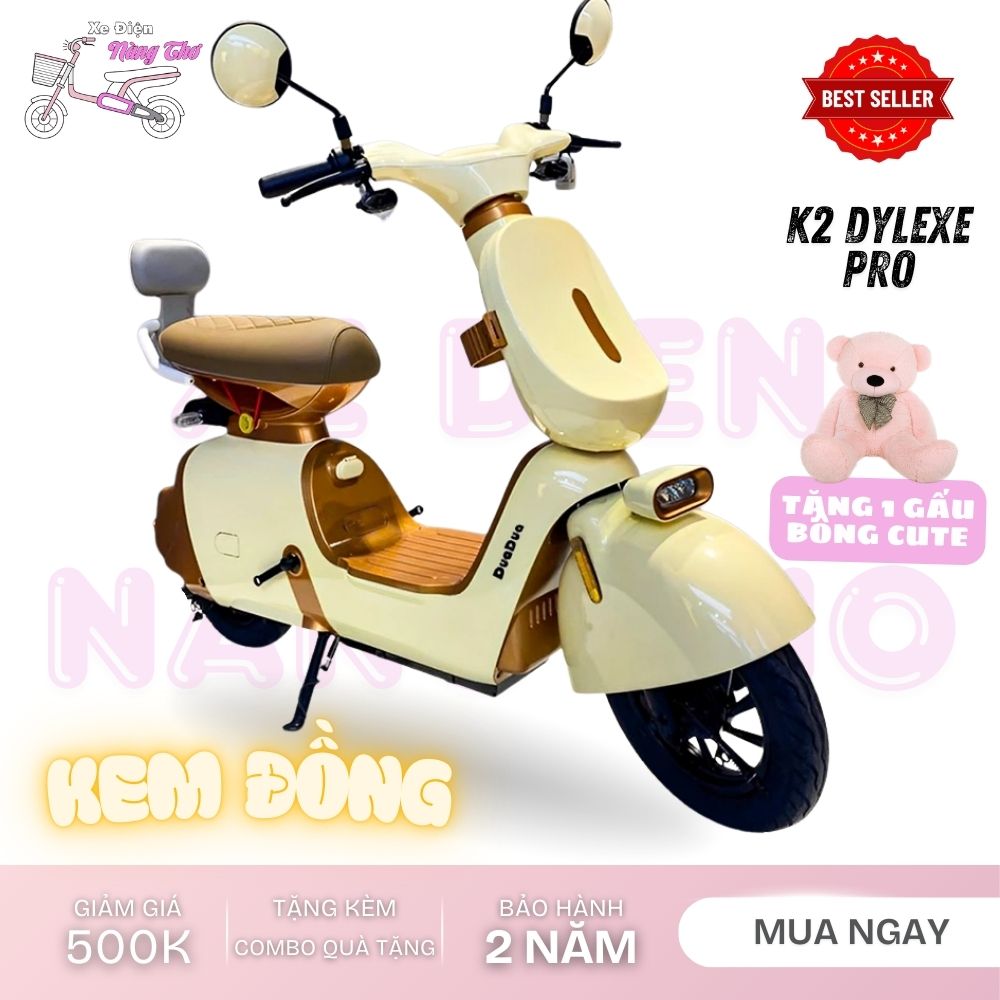 xe đạp điện dylexe