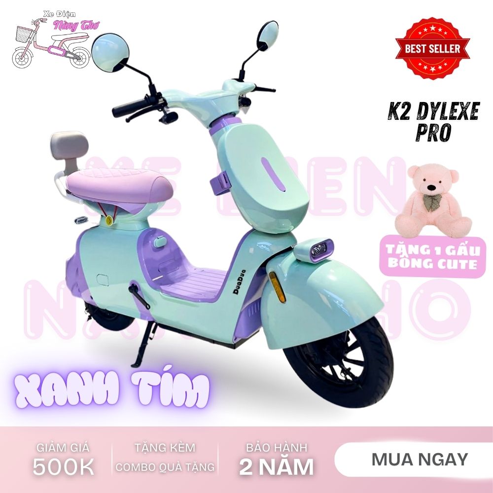 xe đạp điện dylexe