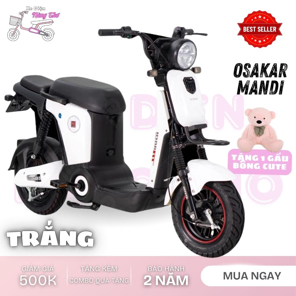 xe đạp điện thời trang