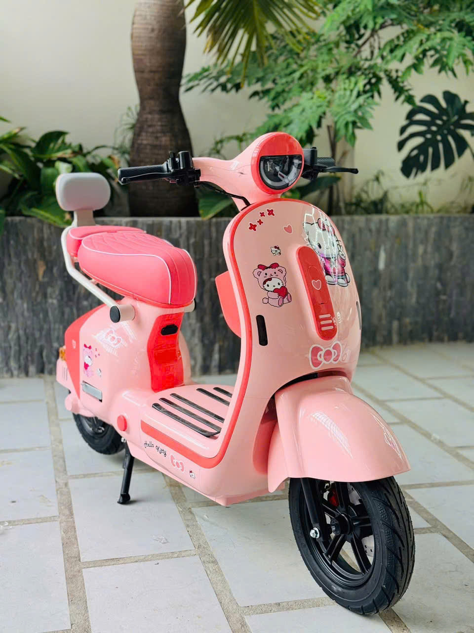 xe đạp điện thời trang