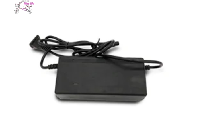 Sạc Pin 48V