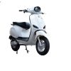 Dk Roma Sx