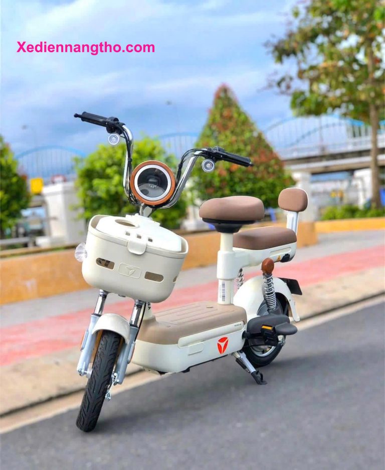 xe đạp điện trung quốc
