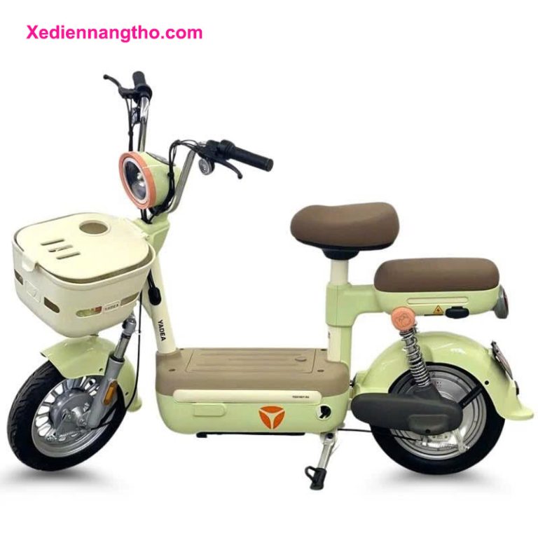 xe đạp điện trung quốc