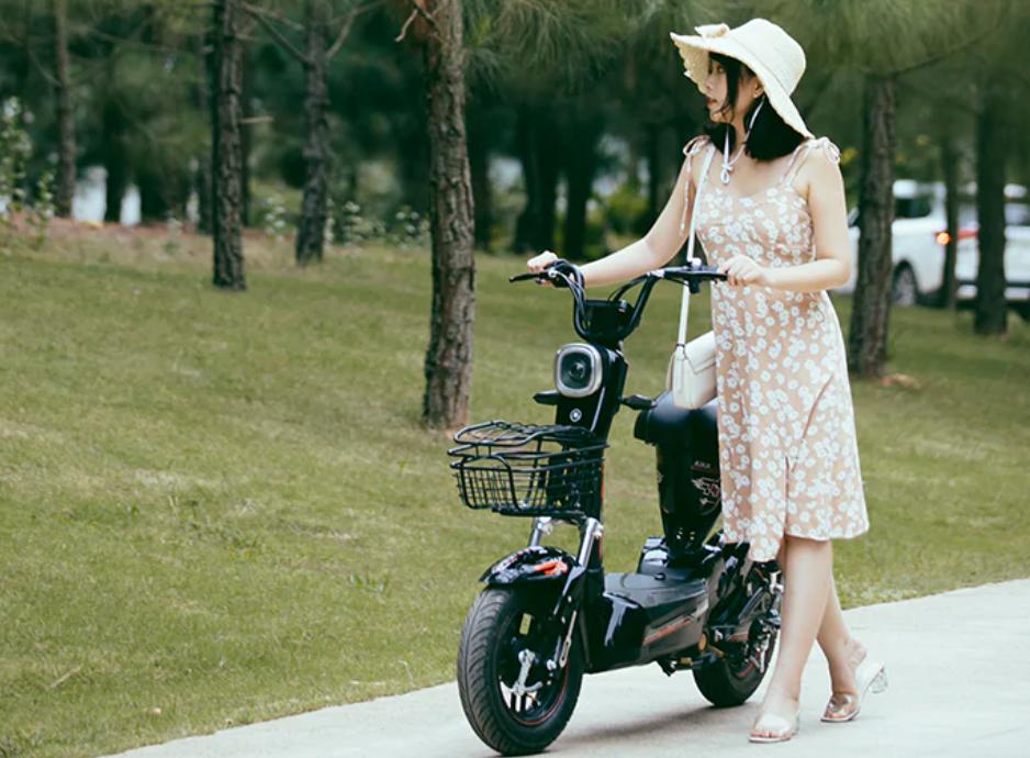So sánh xe đạp điện thời trang và xe đạp điện phổ thông