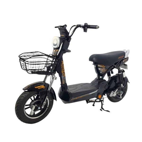 xe đạp điện aima m133am