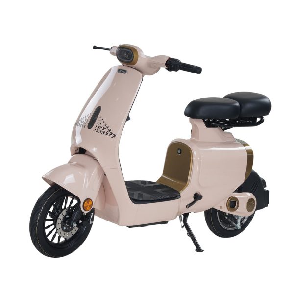 xe điện dk bike s1