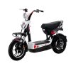 Xe đạp điện Nijia 133C