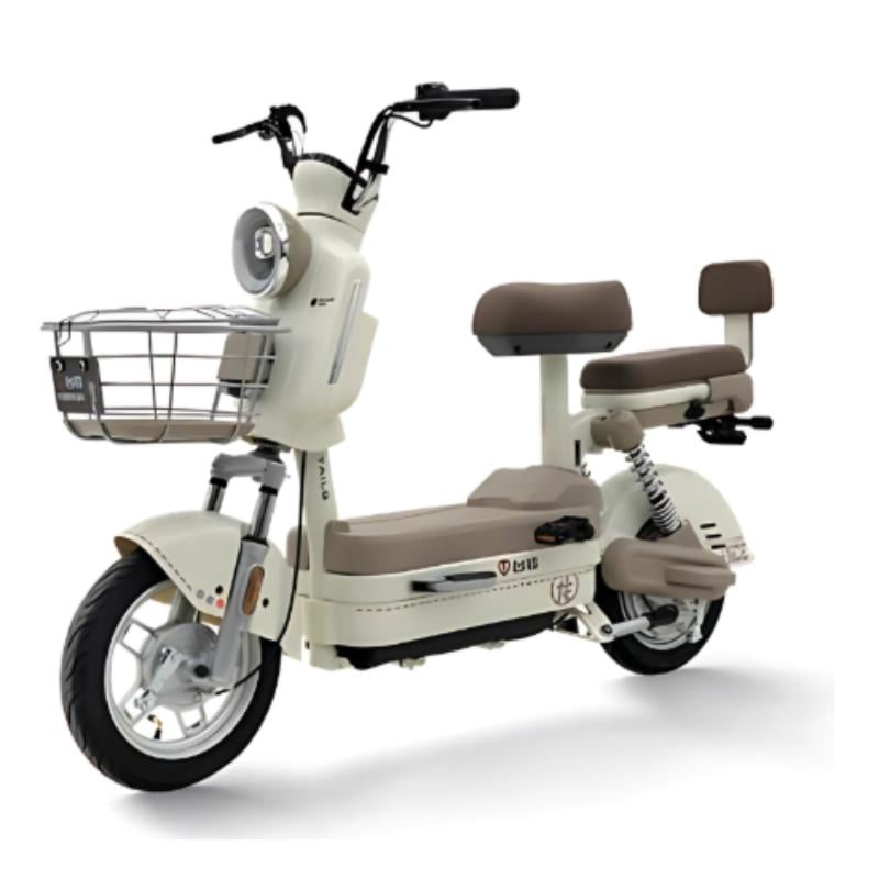 xe đạp điện trung quốc
