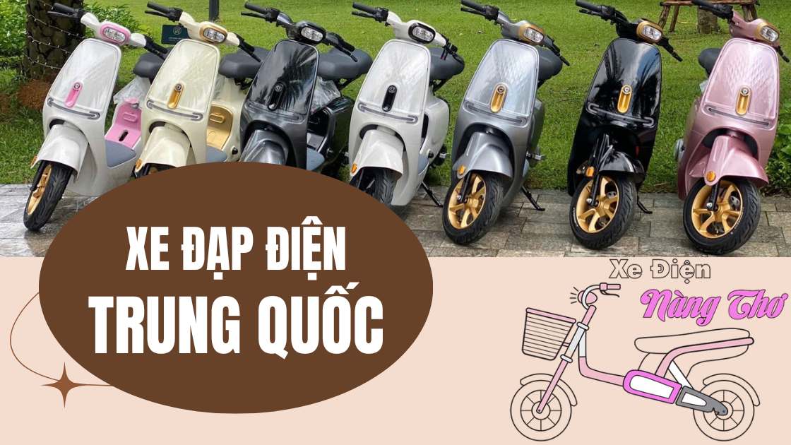 Xe đạp điện trung quốc