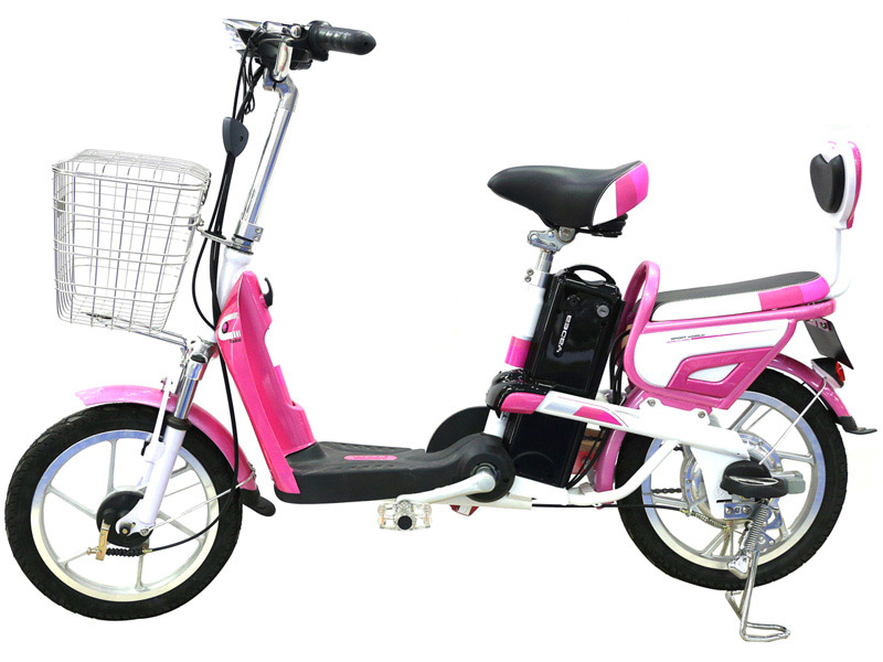 Xe đạp điện 7 triệu